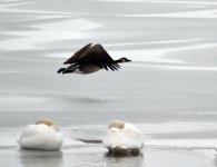 DSC_2075.jpg