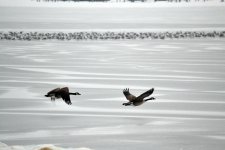 DSC_2076.jpg