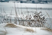 DSC_2110.jpg