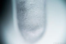 SHM_9819.jpg