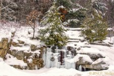 DSC_7429-Edit.jpg