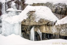 DSC_7431-Edit.jpg
