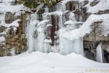 DSC_7432-Edit.jpg