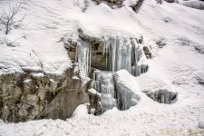 DSC_7433-Edit.jpg