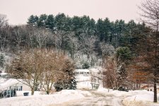 DSC_7434-Edit.jpg