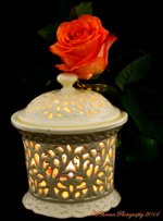 Rose by Candlelight.jpg