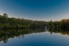 Nikonites46-1.jpg