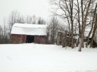 DSCN1241.jpg