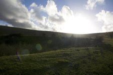 DSC_4317.jpg