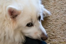 DSC_7455.jpg