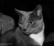 047 Buster-140216_01.jpg