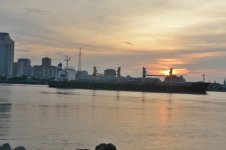 DSC_1097.JPG