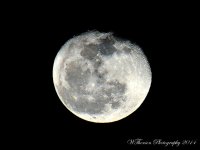 Moon 2-16-2014.jpg