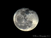 Moon 2-16-2014.jpg