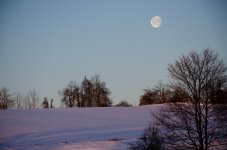 picture48a.jpg