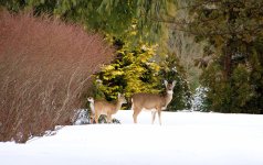 _DSC2287.jpg