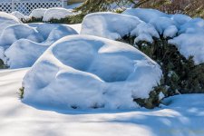 DSC_7472-Edit.jpg