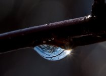 _DSC2503.jpg