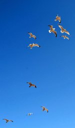 009 (751x1280).jpg