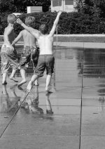 Boys of summer.JPG