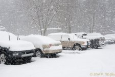 DSC_7490.jpg