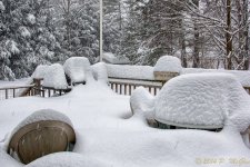 DSC_7492-Edit.jpg