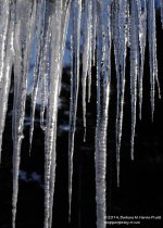 048 Icicles-140217_01.jpg
