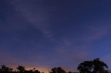 StarryNight1.jpg