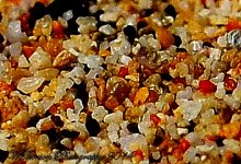 Colorful Hawaiian Beach Sand.jpg