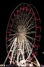 SHM_9915.jpg