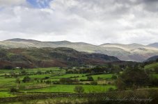 DSC_1224c.jpg