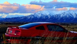 Mustang at Sunset.jpg
