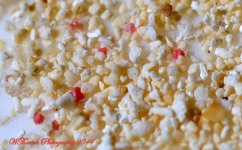 White Hawaiian Beach Sand.jpg