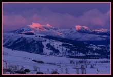 Day 50 Landscape 1.jpg