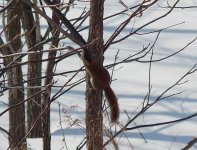 DSCN1295.jpg