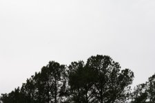 untitled-4777.jpg