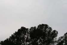 untitled-4777-2.jpg