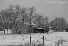 DSC_0074c.jpg