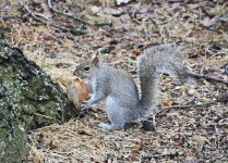 _DSC2763.jpg