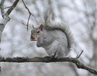 _DSC2770.jpg