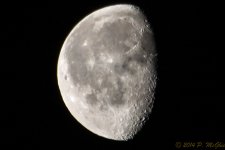 DSC_7526.jpg