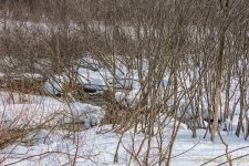 DSC_7545-Edit-2.jpg