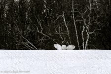 20140220-_D807959-Edit.jpg