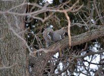 DSC_2189.jpg