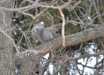 DSC_2193.jpg