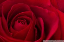 _KS65188-2.jpg