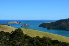 DSC_0797.jpg