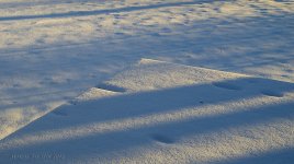 morning light.jpg