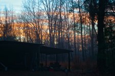Foggy Sunrise.jpg