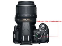 Nikon-D3100-Top.jpg